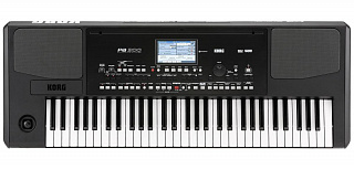 РАБОЧАЯ СТАНЦИЯ KORG PA300