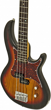 Бас-гитара ARIA 313-DR OPSB