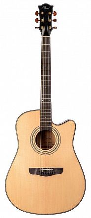 Акустическая гитара Omni D-890S