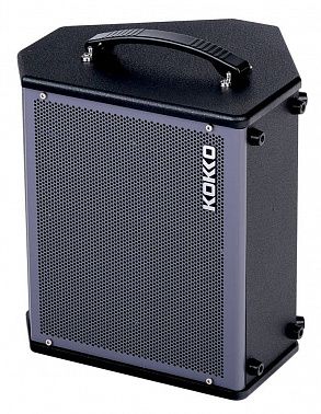 Комбоусилитель Kokko ED-35