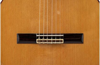 Классическая гитара Altamira N300+