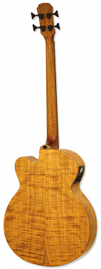 Электроакустический бас ARIA FEB-F2/FL STBR