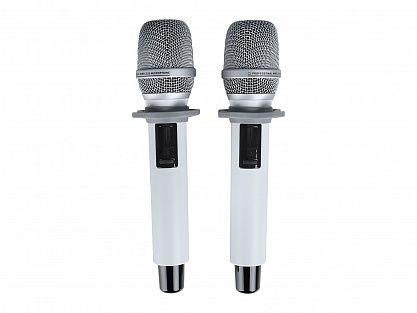 Радиосистема Axelvox DX800SW