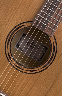 Электроакустика BATON ROUGE AR21C/ACEC