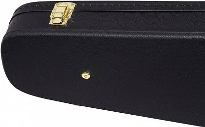 Кейс для бас-гитары PROEL CWCEBT