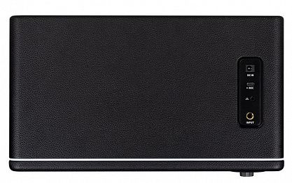 Комбоусилитель Mooer DH30i-Hornet-30i-BK