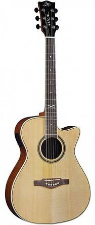 Электроакустика EKO NXT A100CWE