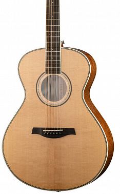 Электроакустика Parkwood P680-WCASE-NAT