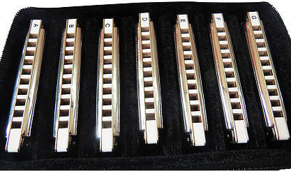 Диатоническая губная гармошка EASTTOP T008 G