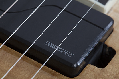 Электрогитара SCHECTER PT SLS ELITE ATQFB