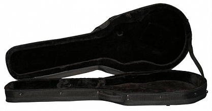 Кейс для гитары GATOR GL-LPS