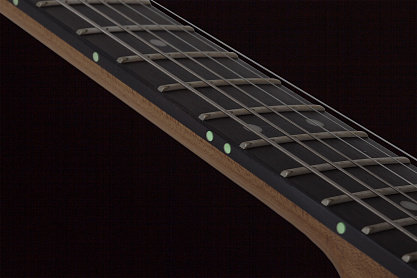 Электрогитара SCHECTER PT PRO TPB