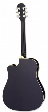 Электроакустика ARIA AWN-15CE BLS