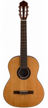 Гитарный набор FLIGHT C-120 NAT PACK