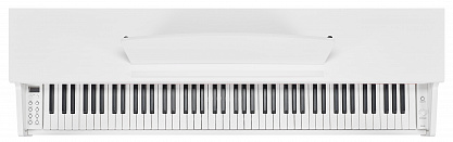 Цифровое пианино BECKER BDP-92W