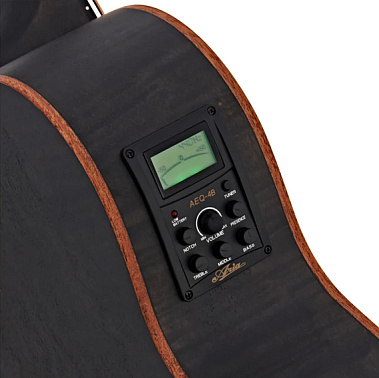 Электроакустический бас ARIA FEB-F2M STBK