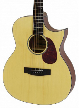 Электроакустика ARIA-101CE MTN