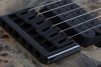 Электрогитара SCHECTER C-6 PRO CB