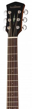 Электроакустика Parkwood S26-GT