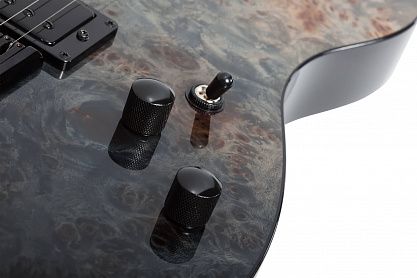 Электрогитара SCHECTER PT STANDARD BFBB