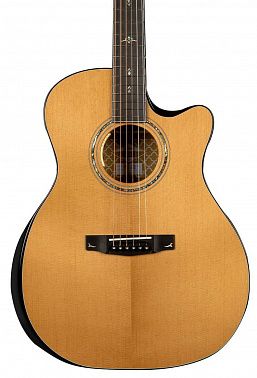 Электроакустика Cort Gold-Edge-WCASE-NAT