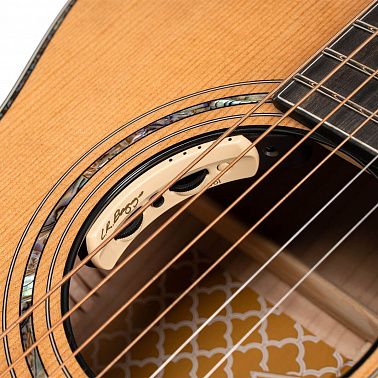 Электроакустика Cort Gold-Passion-WCASE-NAT