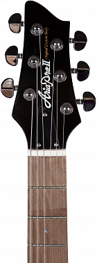 Электрогитара ARIA PE-TR2
