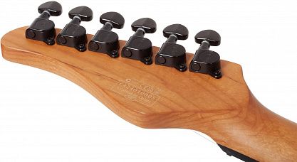 Электрогитара SCHECTER PT STANDARD BFBB