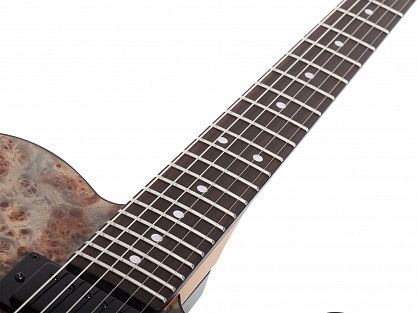 Электрогитара SCHECTER PT STANDARD BFBB