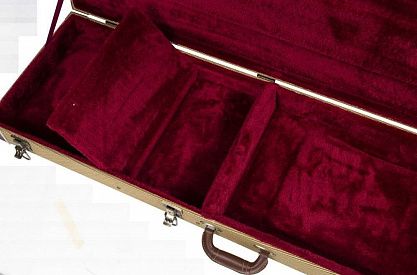 Кейс для электрогитары PROEL CWCEGRX