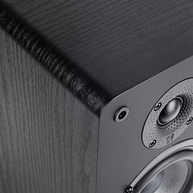 Акустическая система Radiotehnika S-10NA Black Ash