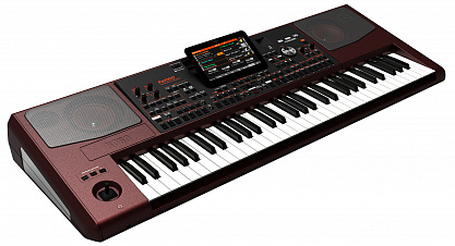 Профессиональная аранжировочная станция KORG PA1000