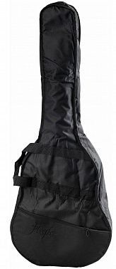 Гитарный набор FLIGHT C-120 NAT PACK