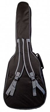 Акустическая гитара Omni D-890S