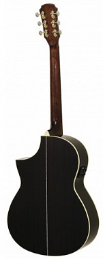 Электроакустика ARIA MSG-02CE N