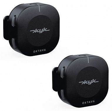 Радиосистема Октава ZHUK-2-CH Жук-2-Ч