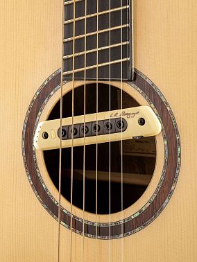 Электроакустика CORT Cut-Craft-Limited-WCASE-N