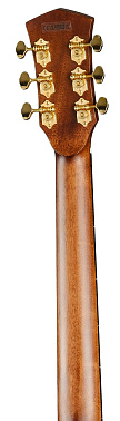 Электроакустика CORT Gold-OC6-Bocote-WCASE-NAT