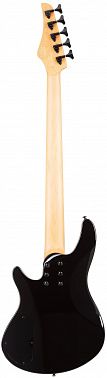 Бас-гитара SCHECTER C-5 STANDARD TB
