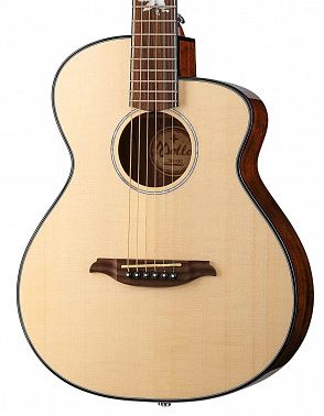 Акустическая гитара Mollo Guitar TM-12C