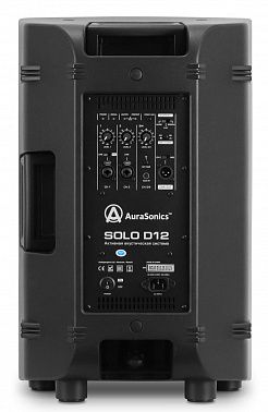 Акустическая система AuraSonics SOLO D12