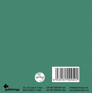 Струны для банджо GALLI STRINGS G210
