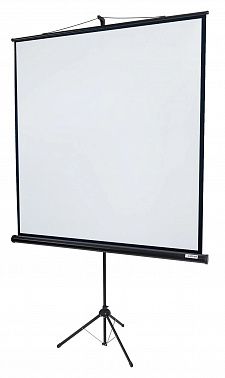 Экран Lumien Eco View LEV-100104