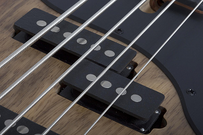 Бас-гитара SCHECTER MODEL-T 5 EXOTIC BLACK LIMBA