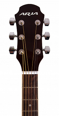 ЭЛЕКТРОАКУСТИКА ARIA AWN-15E CS