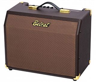 Гитарный комбо Belcat Acoustic-25RC