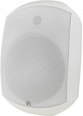 Настенная акустическая система INTREND ITSPK-MSK8-W