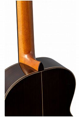Классическая гитара Altamira N300+
