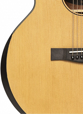Акустическая гитара JAMES NELIGAN GLEN-O N