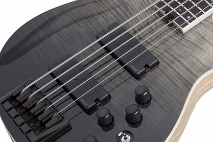 Бас-гитара SCHECTER SLS ELITE-5 BFB